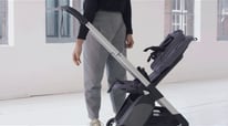 How to Set Up & Operate Bugaboo Ant