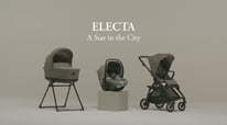 Inglesina Electa Full Guide &ndash; Tips, Setup, and Usage