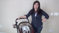 Jane Rider Tutorial for Beginners