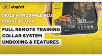Dogtra 1902S HANDSFREE PLUS | Features