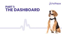 The Dashboard | PetPace Health Collar 2.0