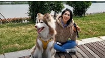 How to use Petdiary F810 Plus GPS Wireless Electric Dog Fence System