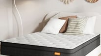 Learn SweetNight Twilight Hybrid in 10 Minutes or Less
