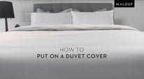 Your Malouf Neve Assistance Guide