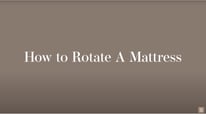 Quick Start Guide: Zenhaven Latex for First-Time Users