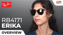 Learn Ray-Ban RB4171 in 10 Minutes or Less