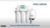How to Use APEC RO-PERM &ndash; Step-by-Step Instructions