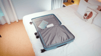 Everything You Need to Know About American Tourister Flytwist