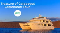 Avalon Treasure of Galapagos Quick Ship Tour