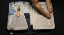 Everything You Need to Know About Briggs & Riley Torq Domestic