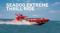 Have Some Fun with City Experiences Seadog I-IV