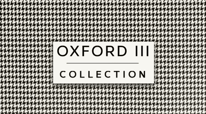 Everything You Need to Know About London Fog Oxford III
