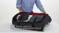 All About OGIO Terminal
