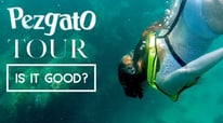 Snorkeling Tour in Cabo with Pez Gato I