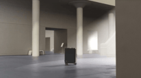 Samsonite Evoa Z Overview