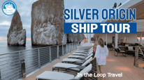 All About Silver Origin Cruise Ship's