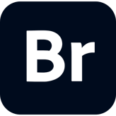 Adobe Bridge
