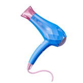 InStyler Ionic Pro Dryer