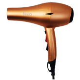 ISO Beauty Ionic Dryer