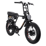 Ariel Rider D Class
