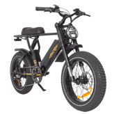 Ariel Rider X Class 52V