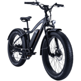 Rad Power RadRover 5