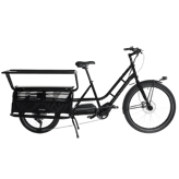 Xtracycle The Swoop