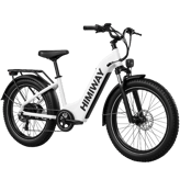 Himiway D5 ST