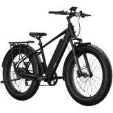 NIU BQi Fat Tire 300 (Step‐over)