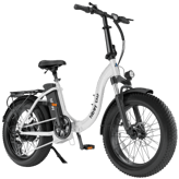 Hiboy EX6F