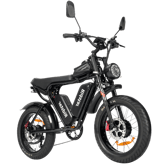 Ridstar Q20Pro