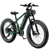 Heybike Brawn
