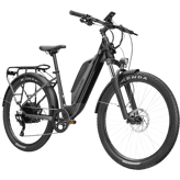 Cannondale Adventure Neo Allroad Speed Low ST
