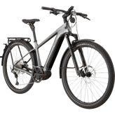 Cannondale Tesoro Neo X Speed