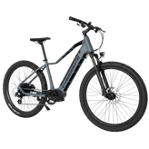 Cyberbike Aspen
