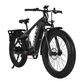 CYKE Cheetah