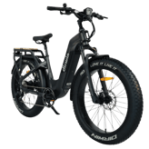Dirwin Pioneer 2