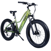 Dirwin Pioneer Lite