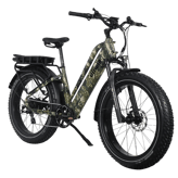 Dirwin Pioneer Plus