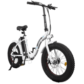 Ecotric Dolphin