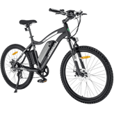 Ecotric Leopard