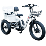 Emojo Bison Pro Urban Cruiser
