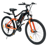 EMotorad EMX+
