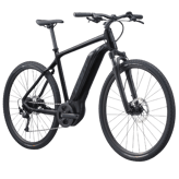 Giant Roam E+ GTS
