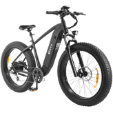 DYU King 750