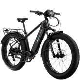 Lectric XPeak2 High-Step