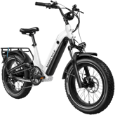 Magicycle 20in Deer