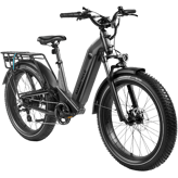 Magicycle Deer