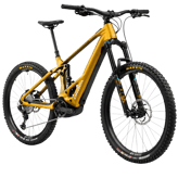 Orbea Wild H10