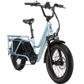 Rad Power RadWagon 5